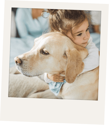 Imagen de Colegios y Centros Educativos