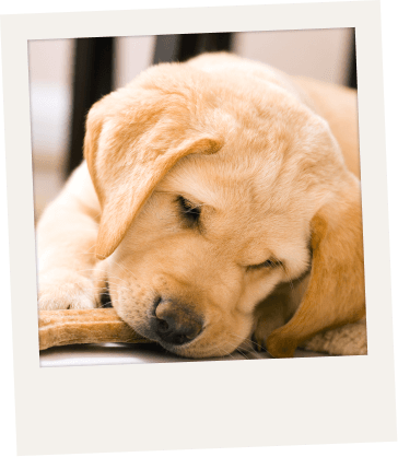 Imagen de residencias de personas mayores y centros de día