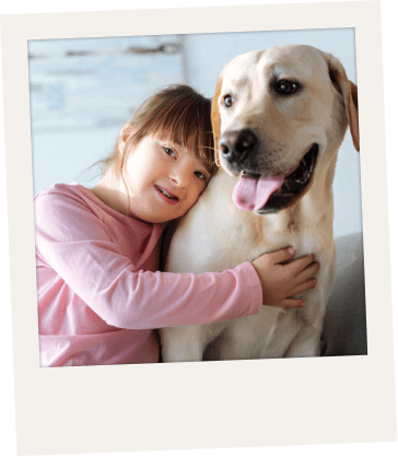 Imagen de Centros de discapacidad Intelectual