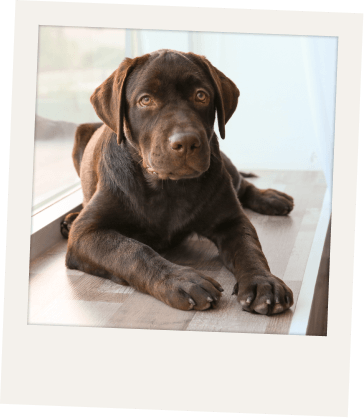 Imagen de Hospitales y centros de salud