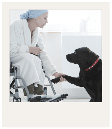 Imagen de Hospitales y centros de salud