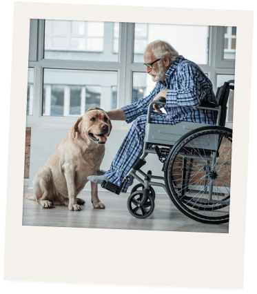 Imagen de Residencias de personas mayores y centro de día