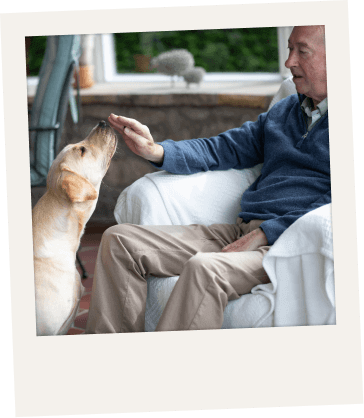 Imagen CTP Convivencia Terapéutica con Perros