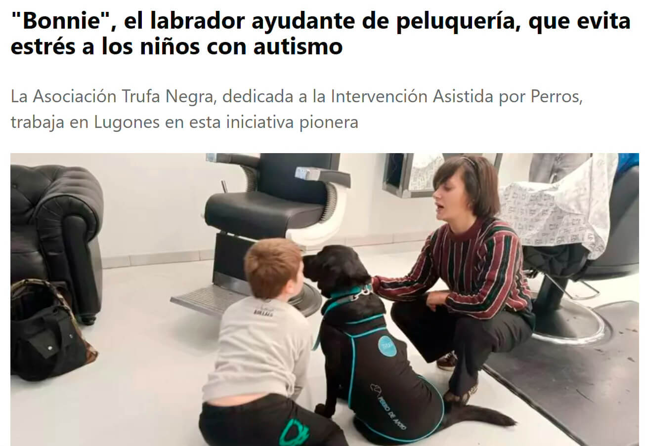Bonnie, el labrador ayudante de peluqiería, que evita estrés a los niños con autismo